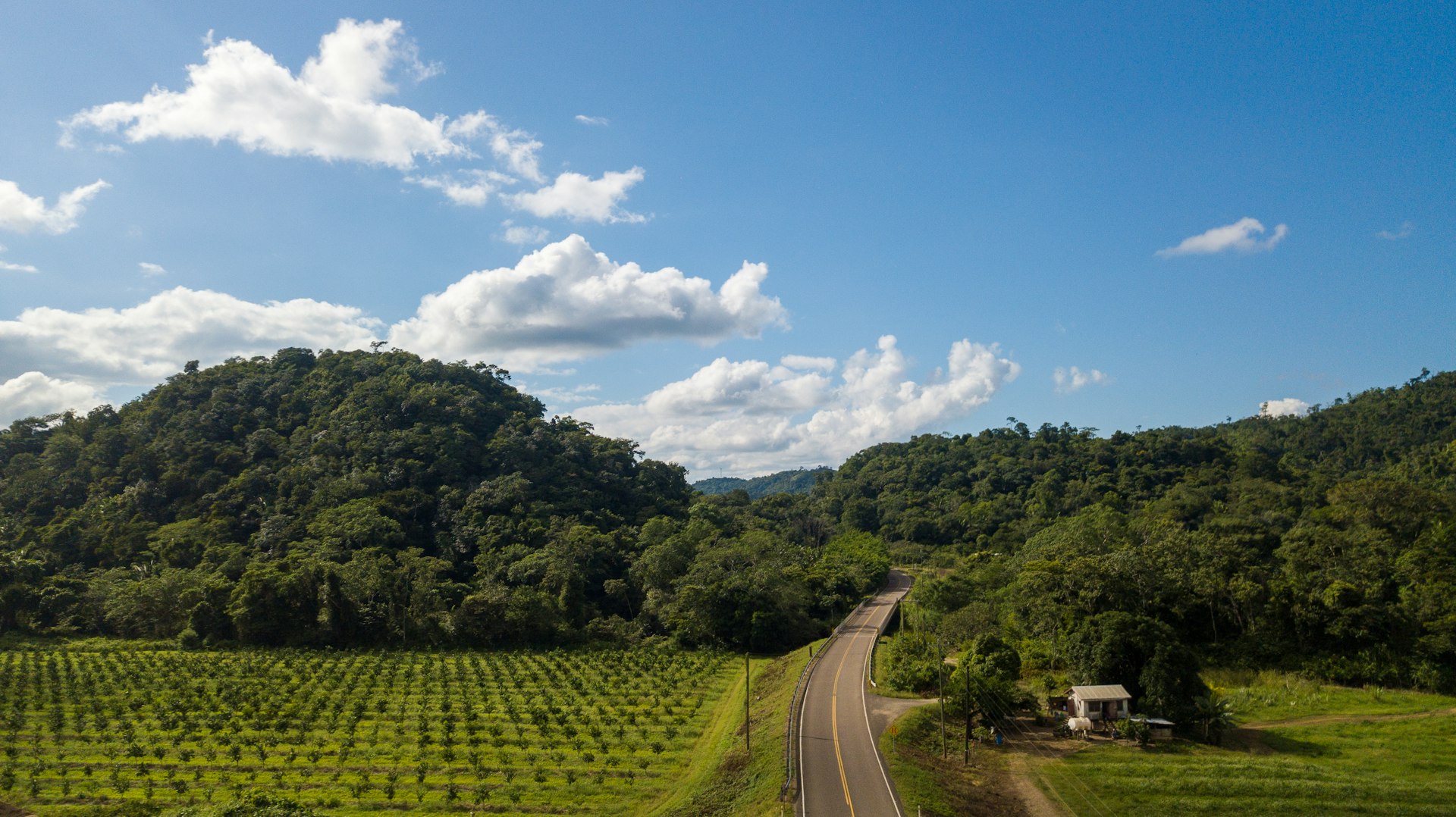 A road winds through a scenic landscape of lush farmland and woodland in Belize